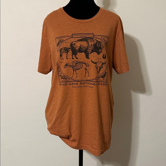 Bella Canvas Tops - Bison Nation Park Graphic Tee